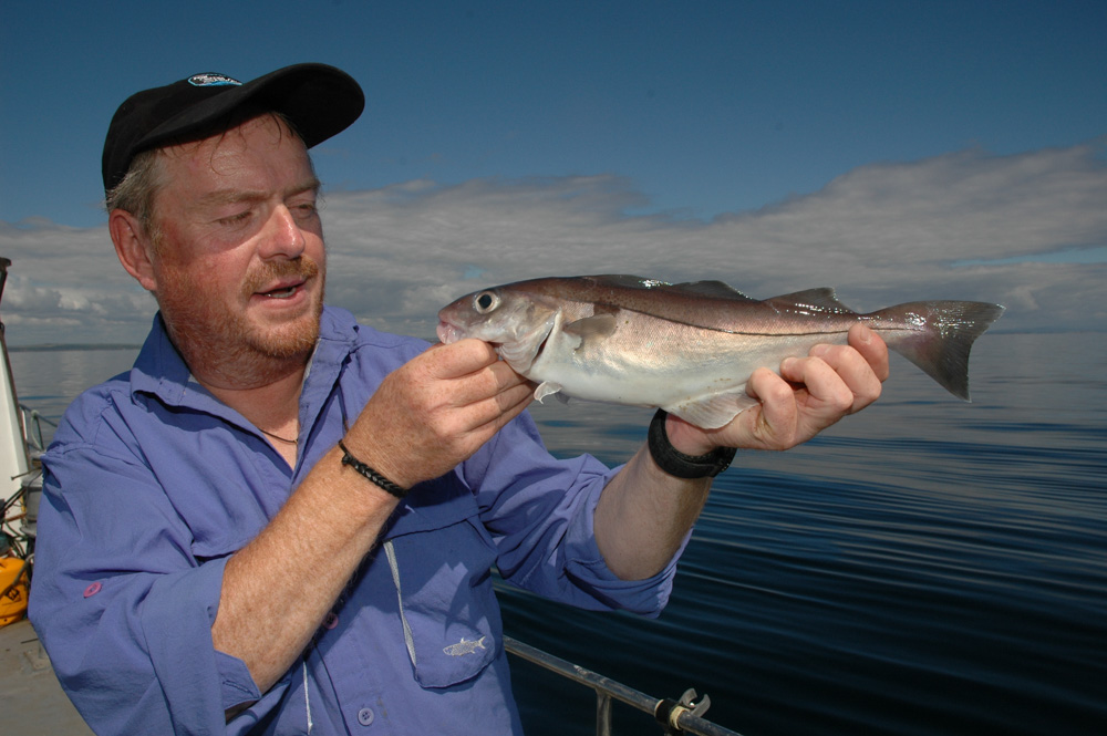 Does Your Bait Work While Barfishing?