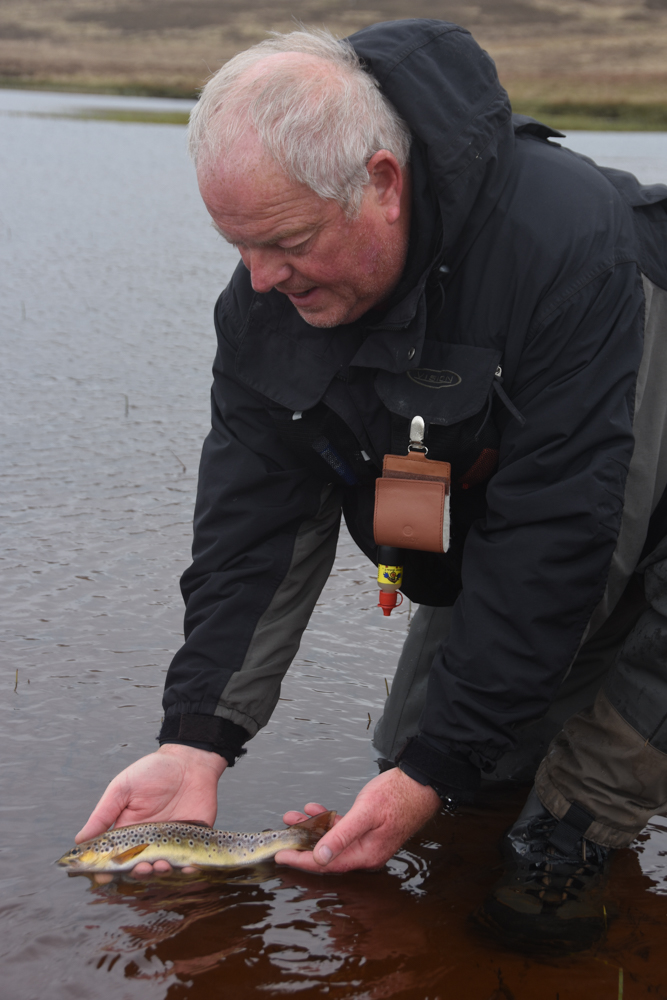 MT website - Mike Sr returning an Ascaig trout