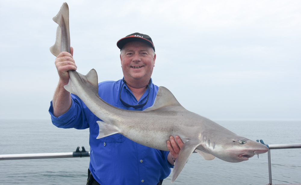Mike Thrussell with his monster Smoothhound